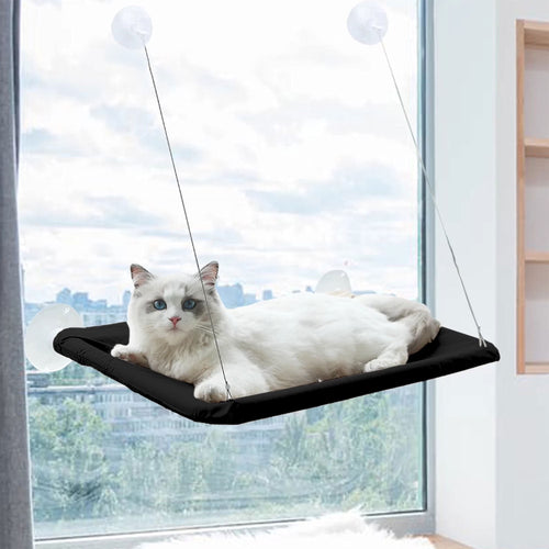 Window Cat Hammock Cat Window Sill Perch Cat Bed Pet Cat Window Sill Stand Suction Cup Hanging Cat Litter Box-Black