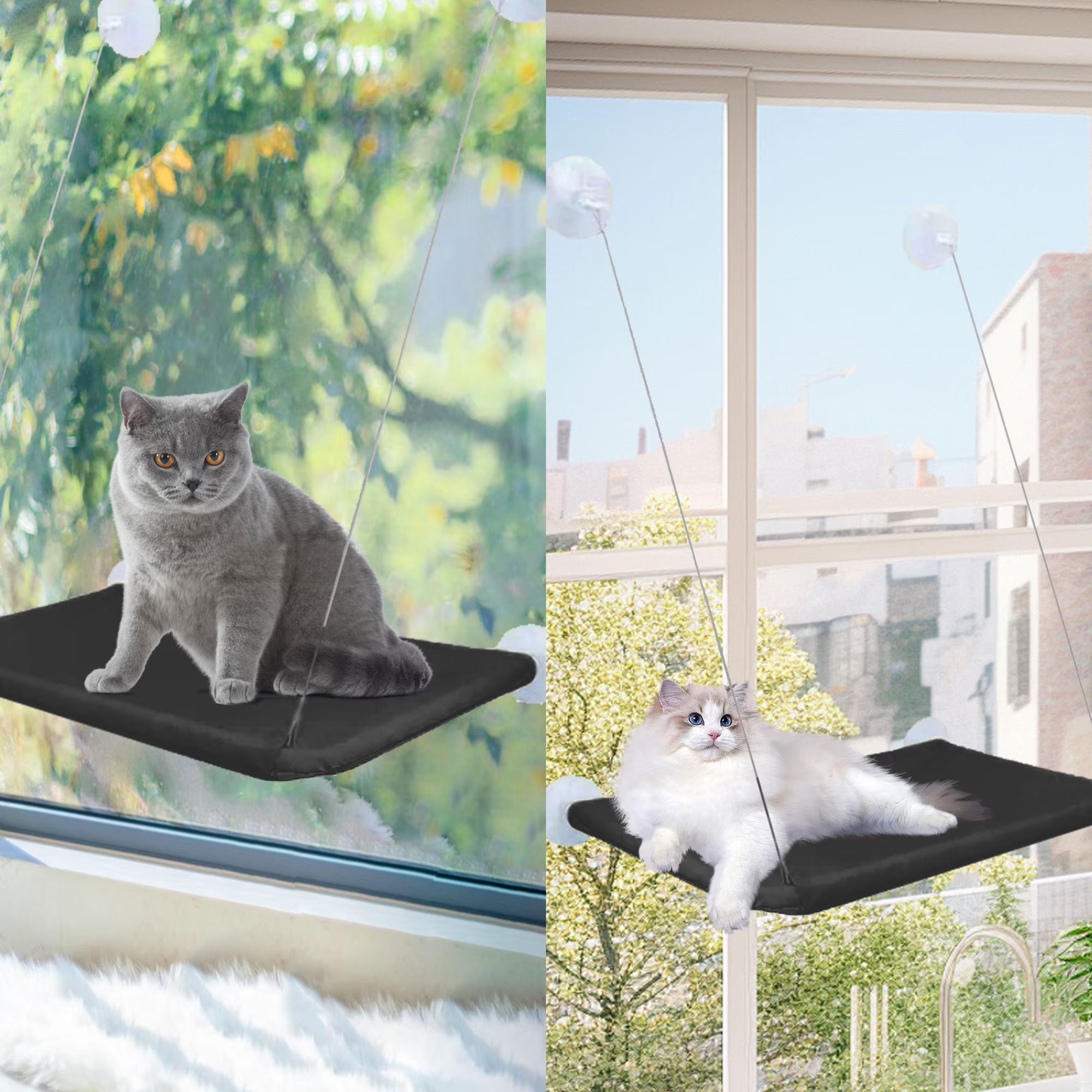 Window Cat Hammock Cat Window Sill Perch Cat Bed Pet Cat Window Sill Stand Suction Cup Hanging Cat Litter Box-Black