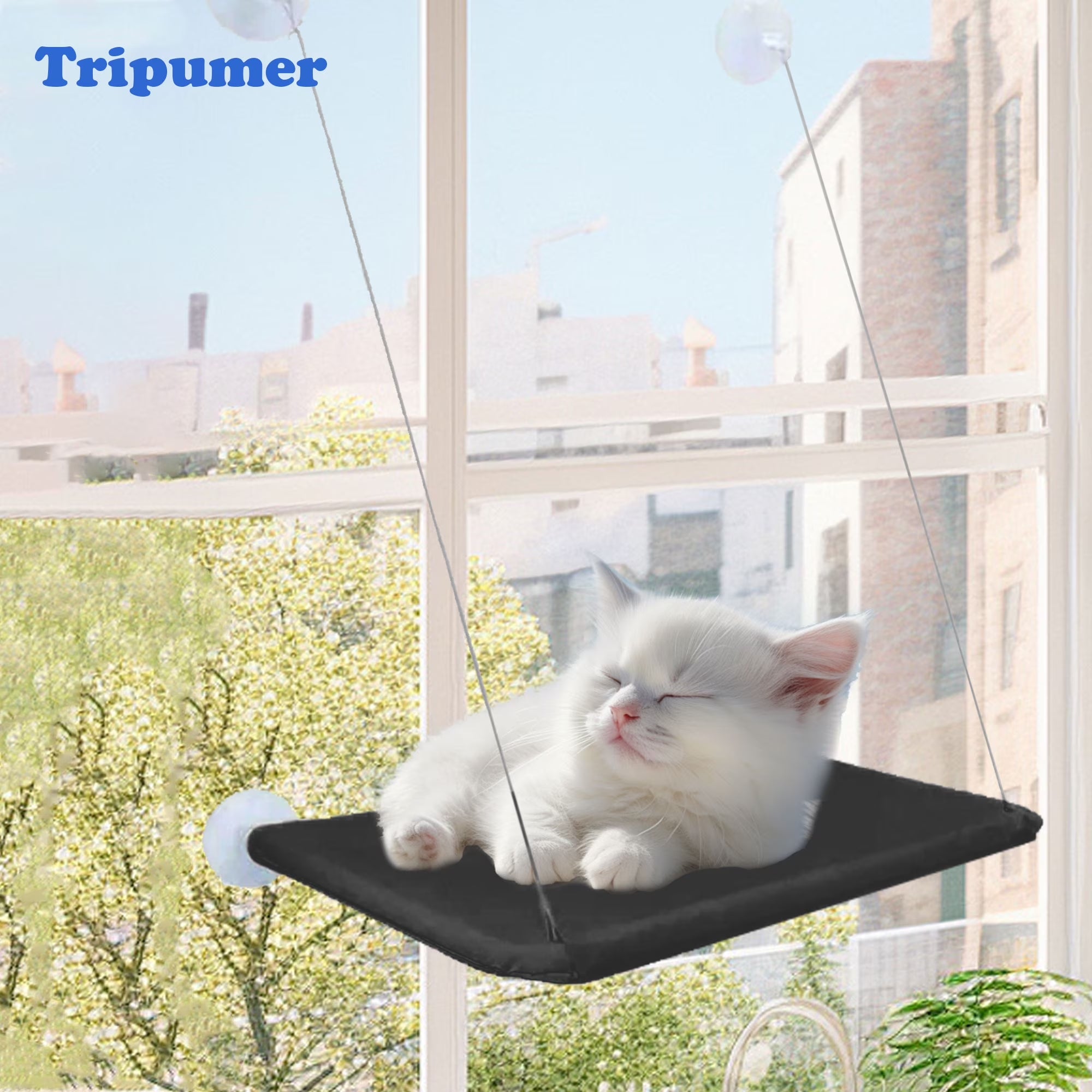 Window Cat Hammock Cat Window Sill Perch Cat Bed Pet Cat Window Sill Stand Suction Cup Hanging Cat Litter Box-Black