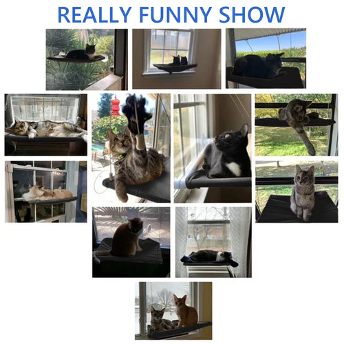 Window Cat Hammock Cat Window Sill Perch Cat Bed Pet Cat Window Sill Stand Suction Cup Hanging Cat Litter Box-Black
